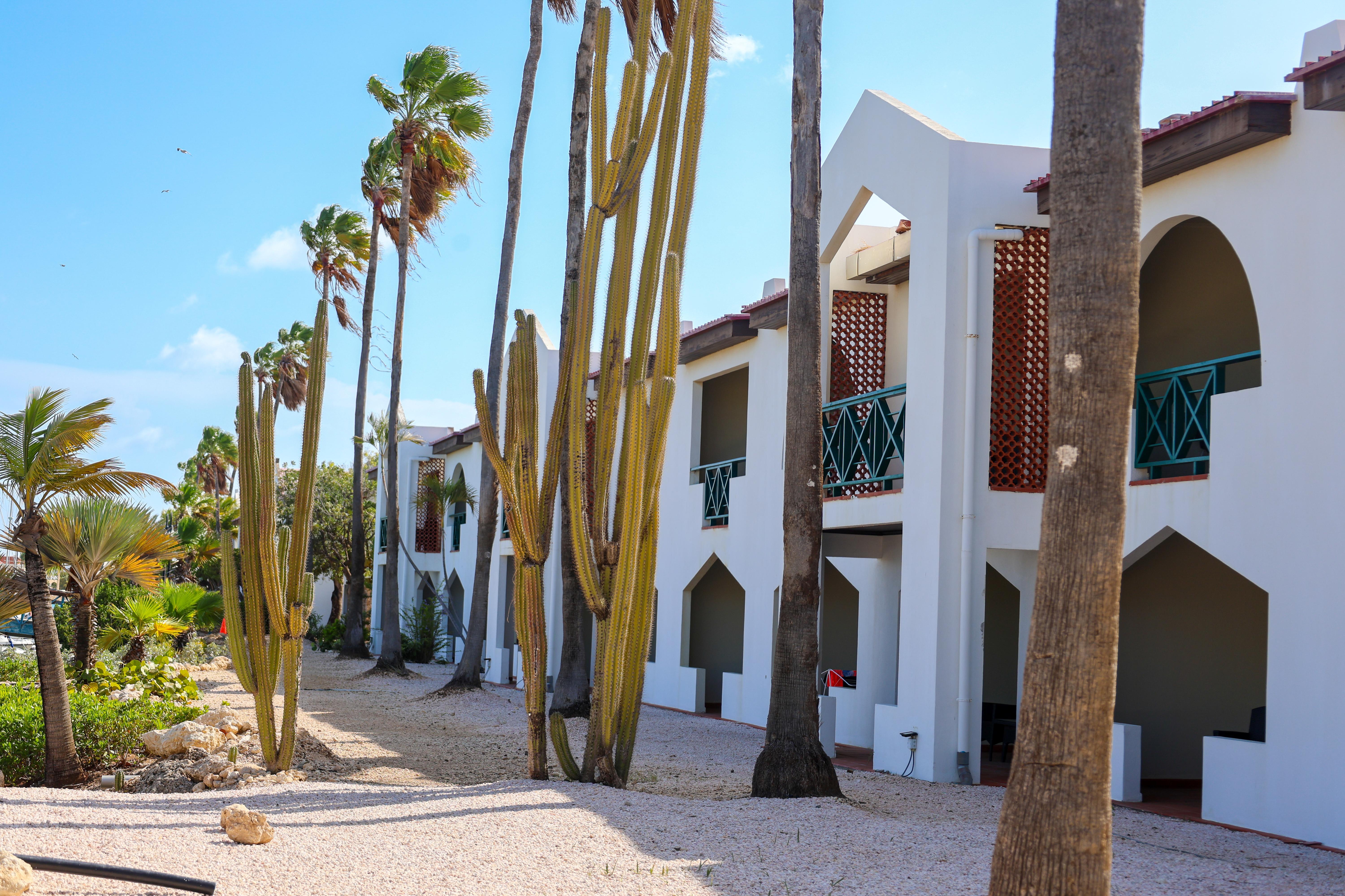 Van Der Valk Plaza Beach & Dive Resort Bonaire Playa Eksteriør billede